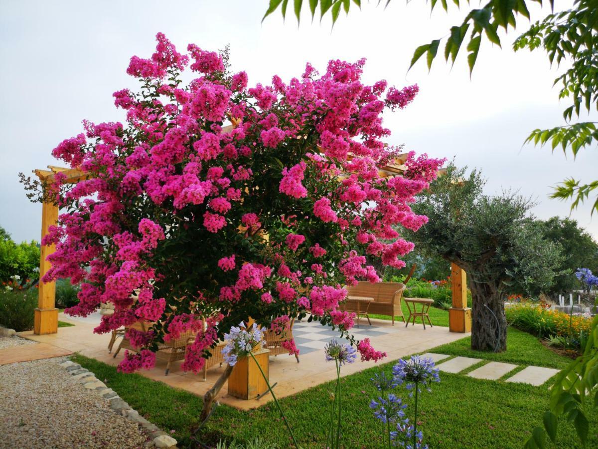 Bed and Breakfast Byout Ghalboun Byblos Exterior foto