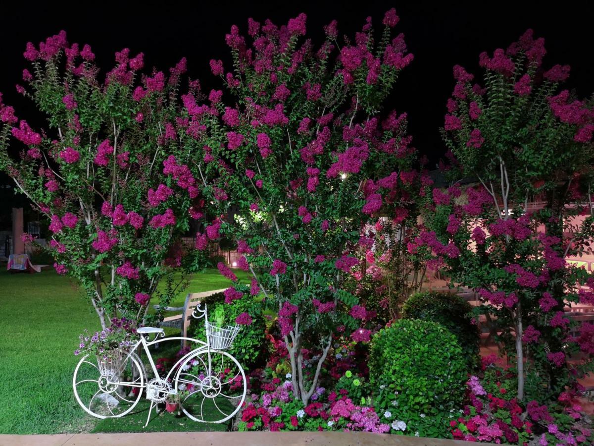 Bed and Breakfast Byout Ghalboun Byblos Exterior foto